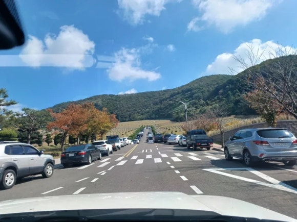 울릉도아리랑따개비칼국수 이미지