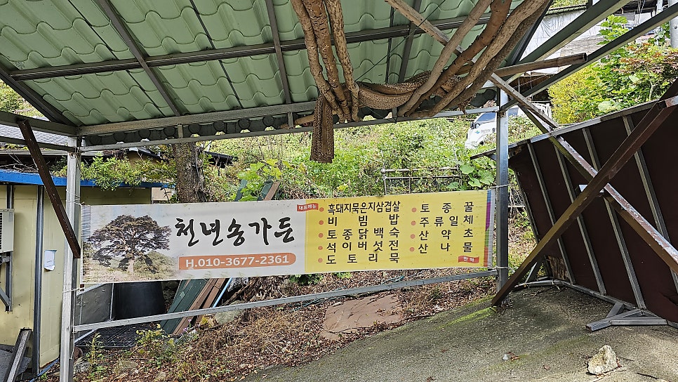 와운가든 이미지