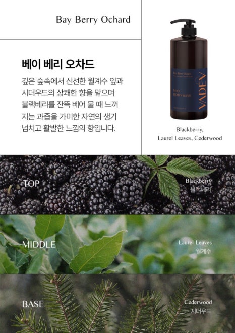 워시팡팡 이미지