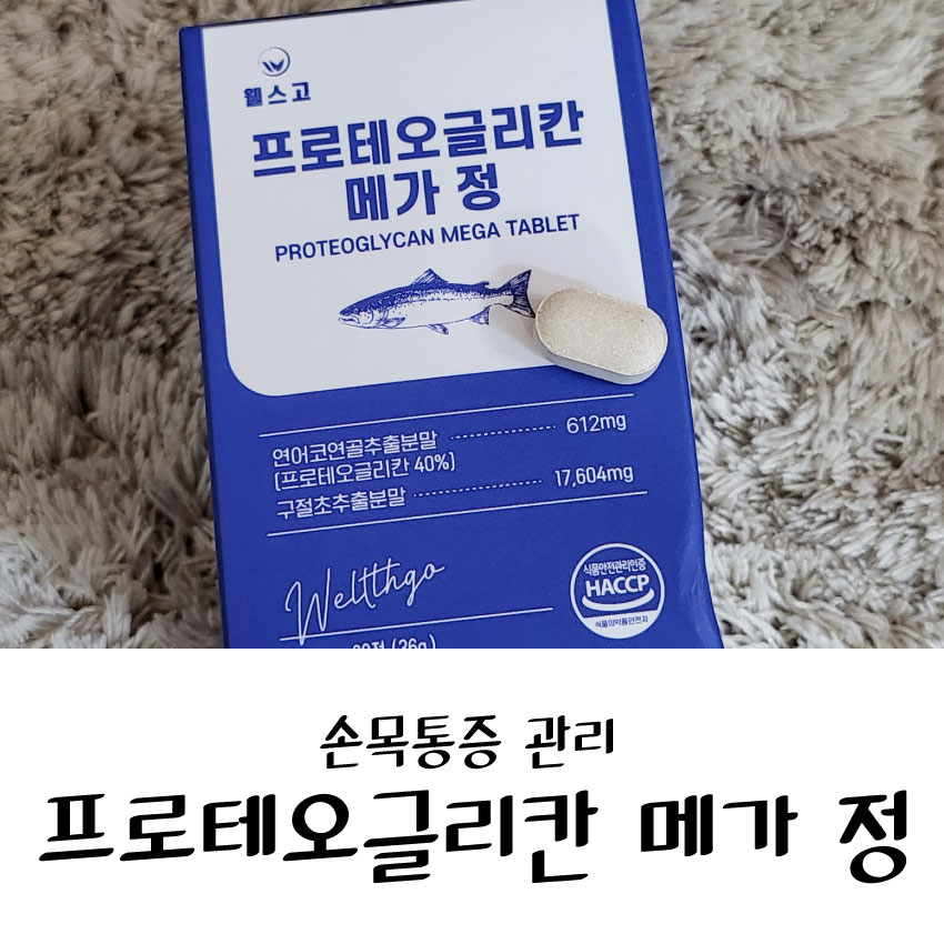 메가웰스 이미지