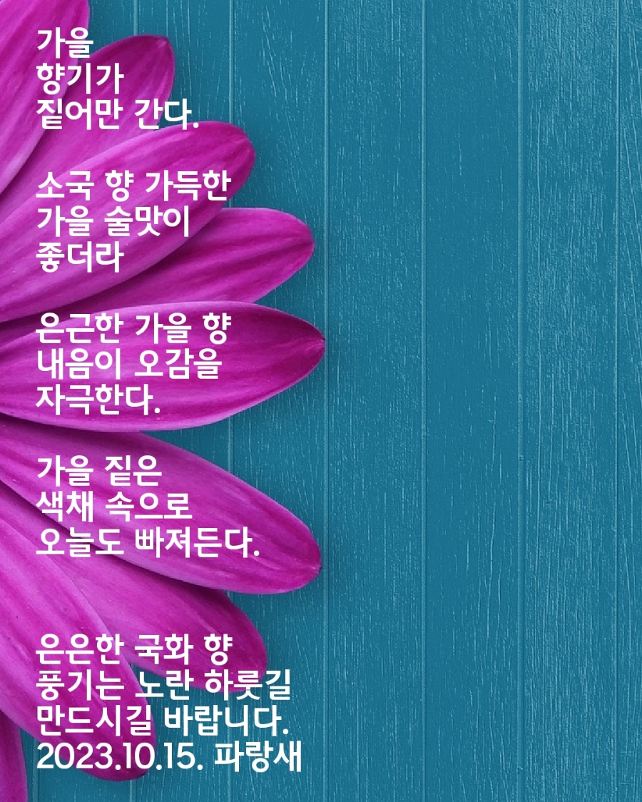 시월십오일 이미지