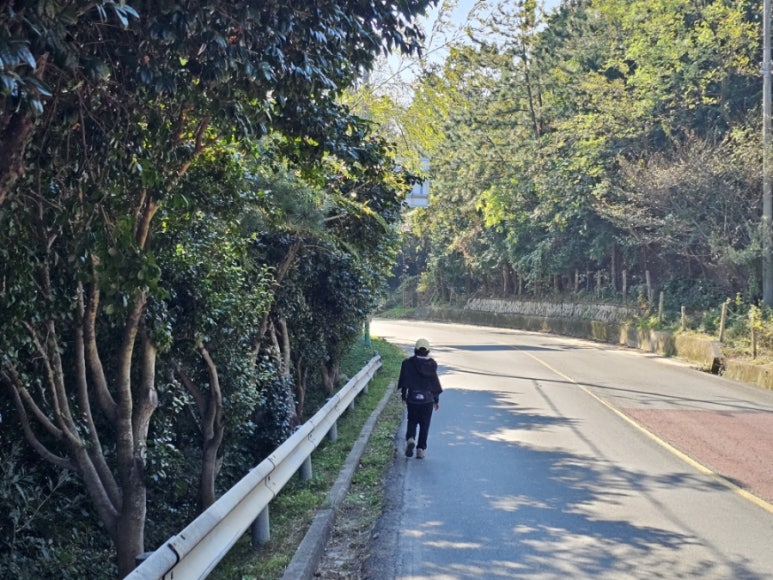 일성사 이미지
