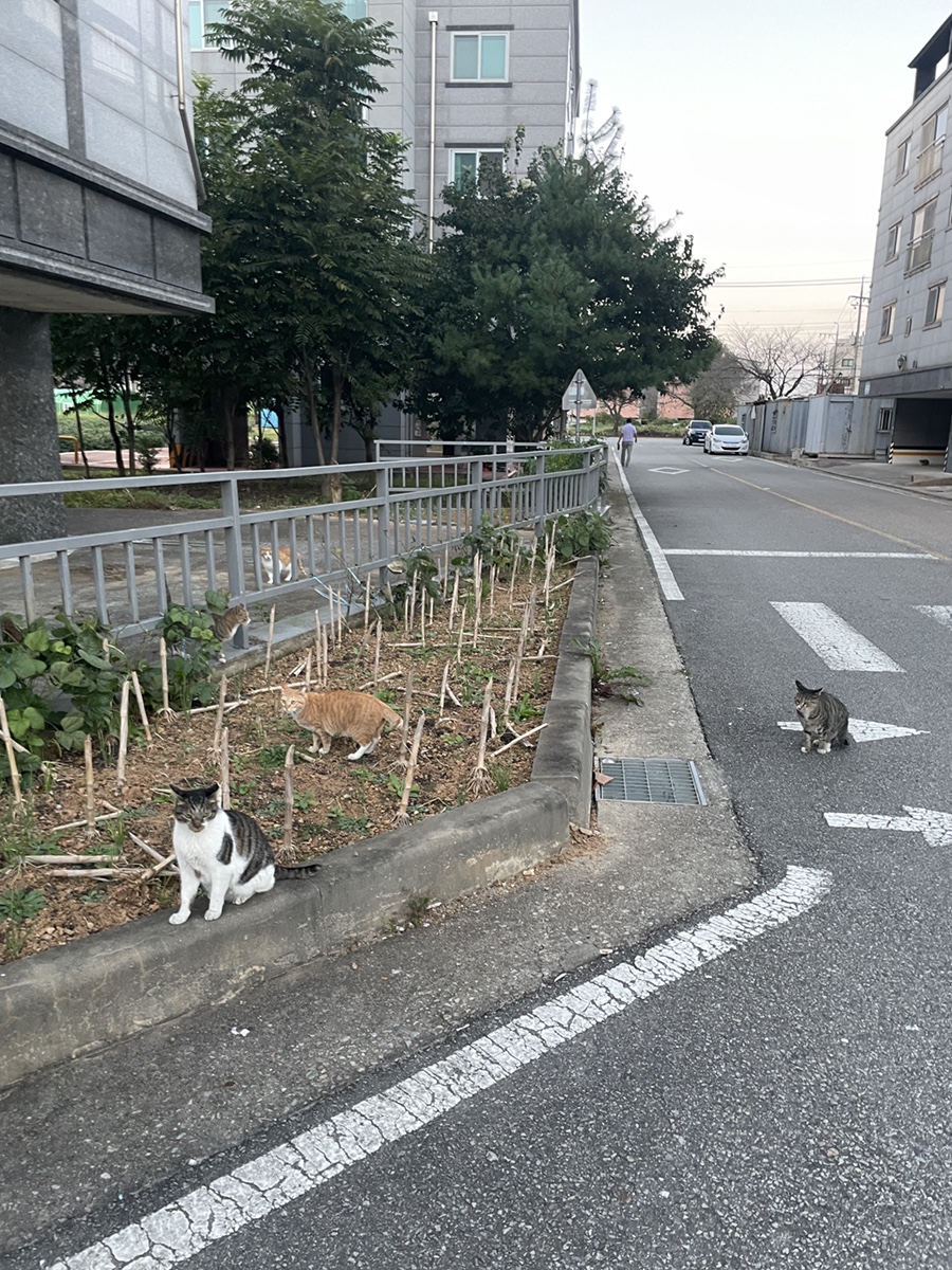 PC방가자 이미지