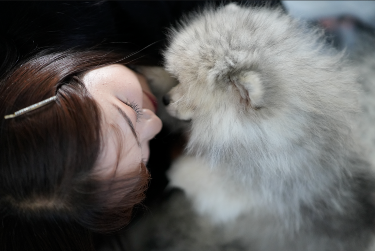 브이디자인스튜디오 이미지