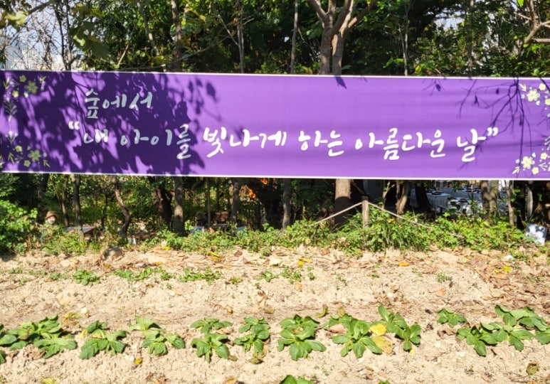 꽃무지풀무지유치원 이미지