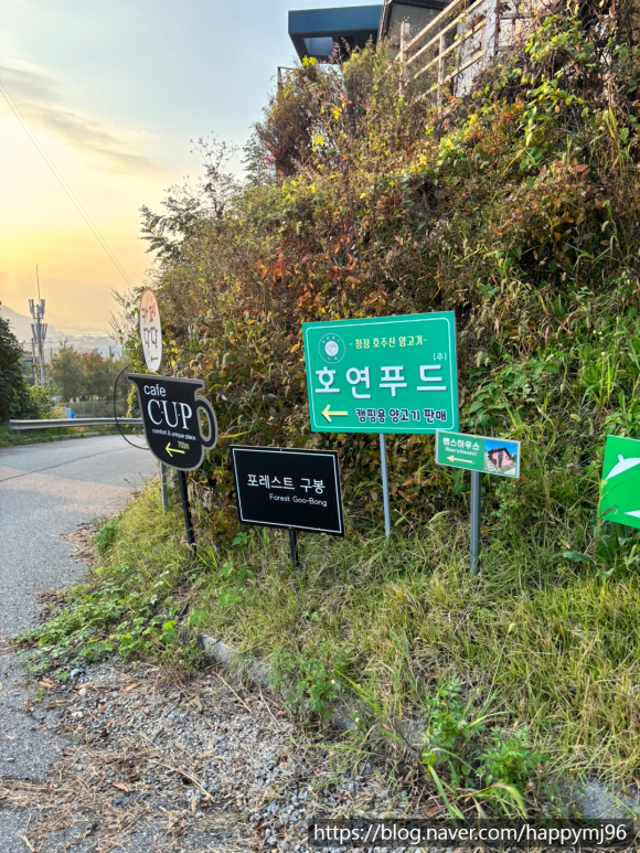 포레스트구봉 이미지