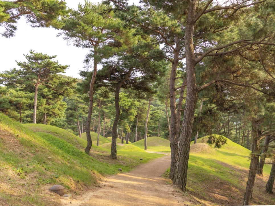 대가야다례원 이미지