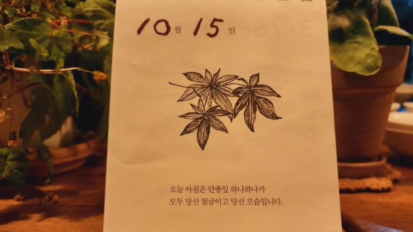 지유명차제주 이미지