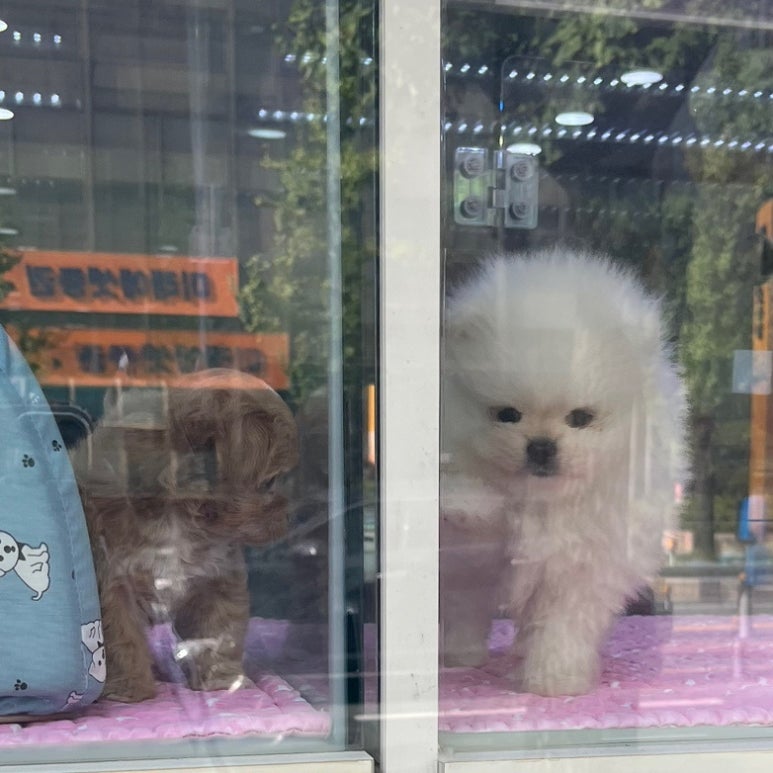 동은이꼬마김밥 상남본점 이미지