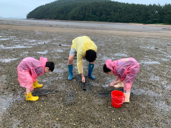 오션이니스프리 이미지