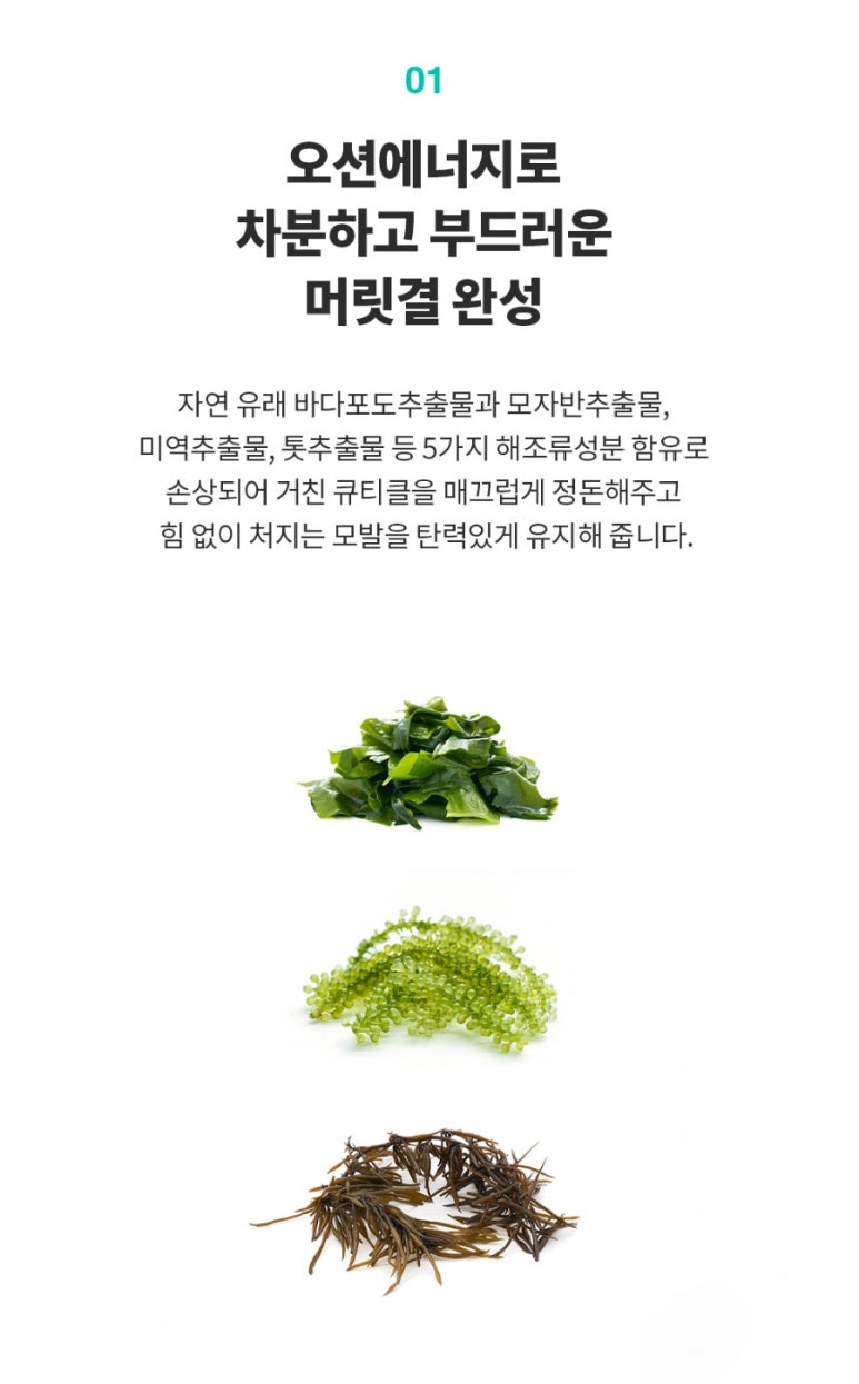 오션에너지 이미지
