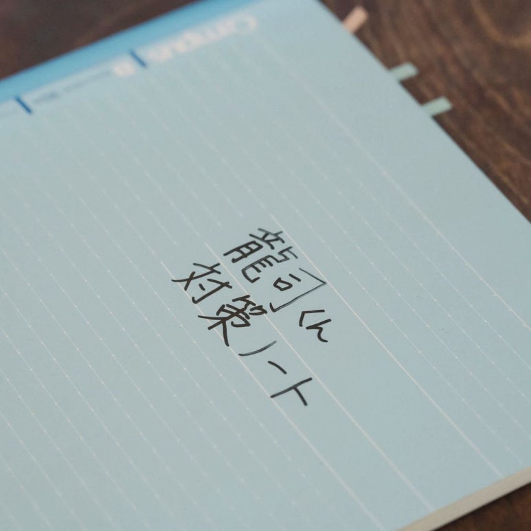 코이스토리 이미지