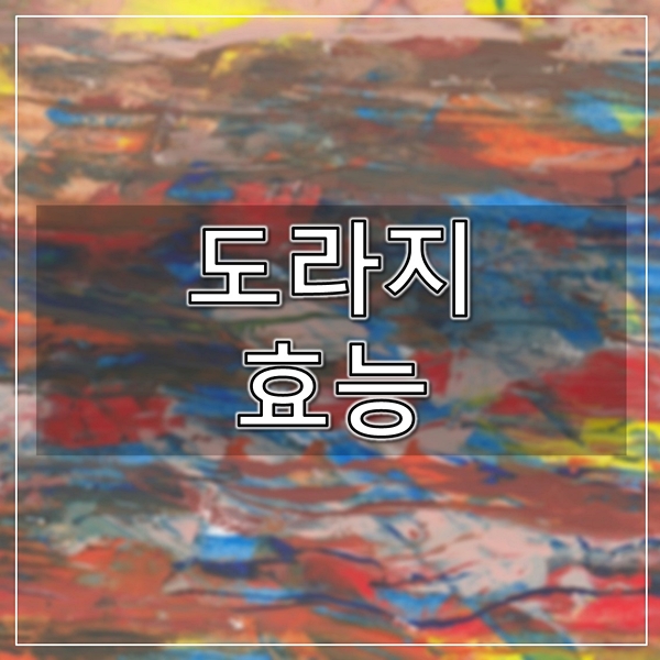 건강과아름다움 이미지
