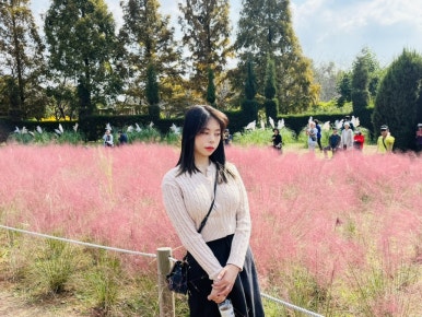 드림사진카페 이미지