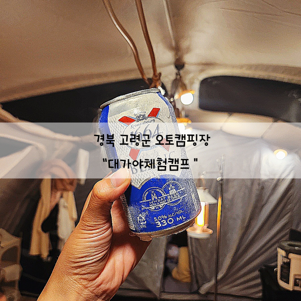 (주)대가야체험캠프 이미지