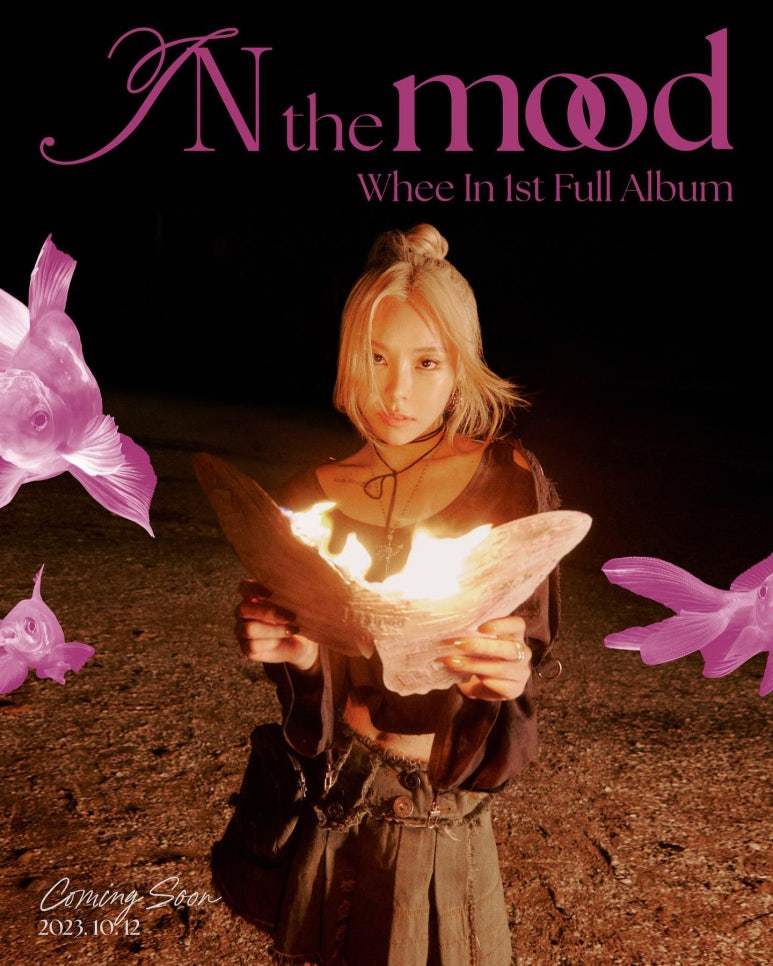 더무드(The Mood) 이미지
