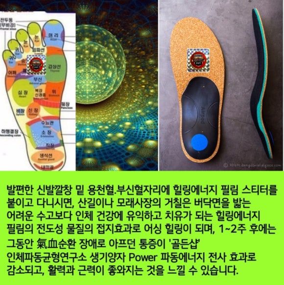 골든샵 이미지