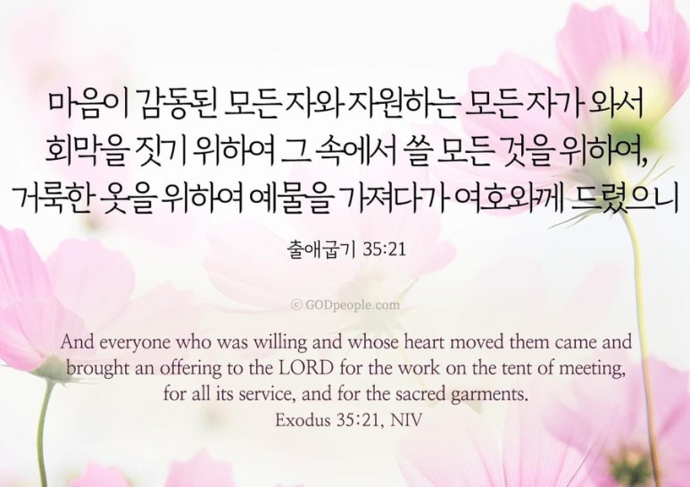 브살렐 이미지