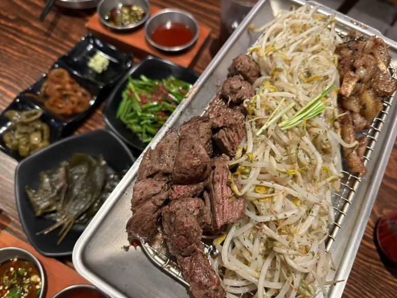 비오비피씨방 이미지