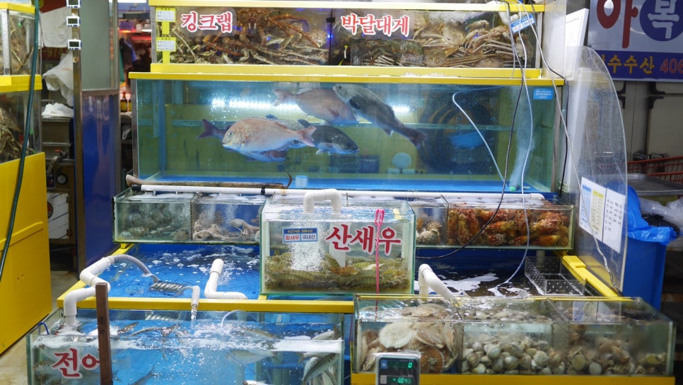 참농수산 이미지