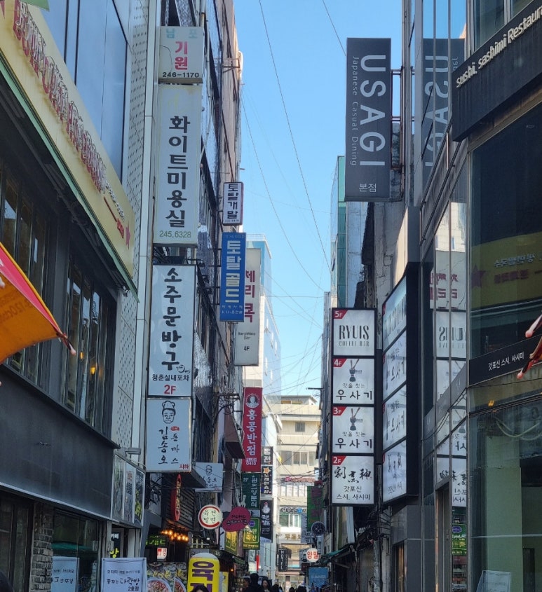 김송오돈까스 이미지