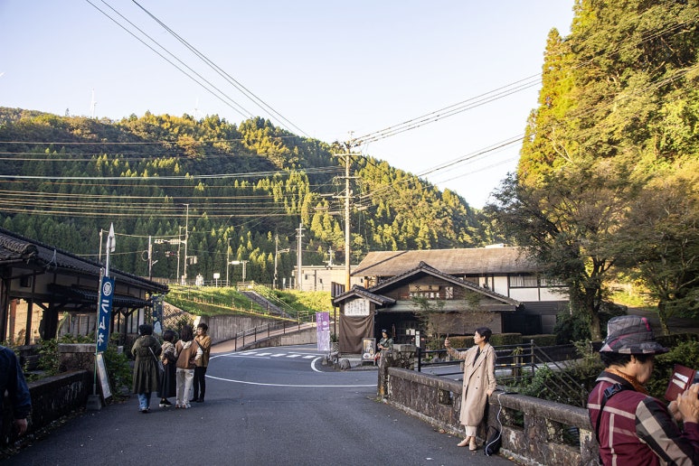 지온숲 이미지