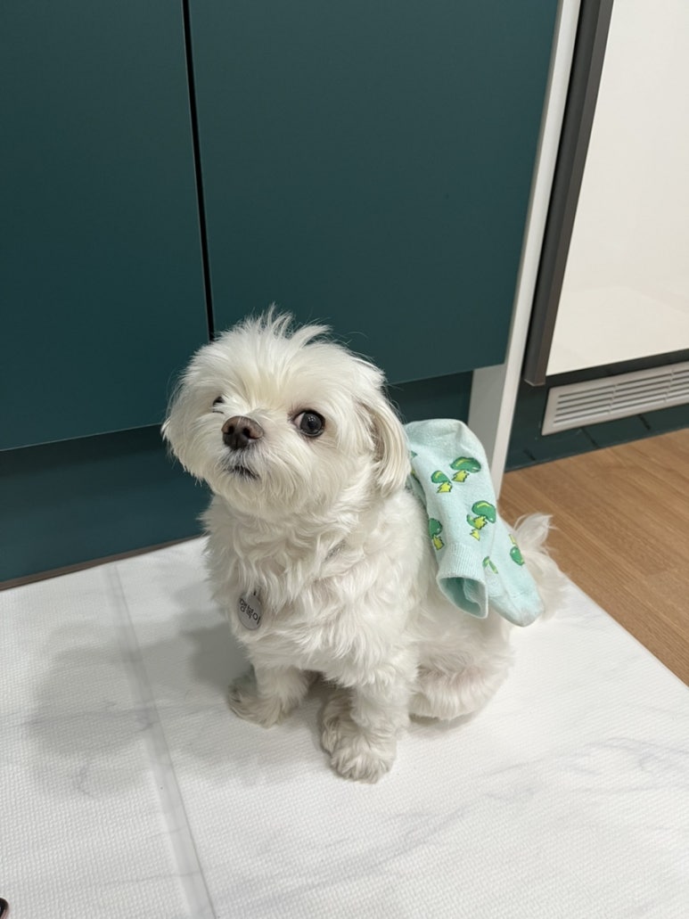 서울미용타운 이미지