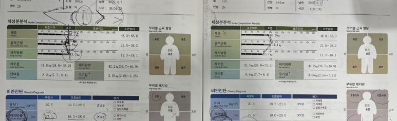 탄탄짐 이미지