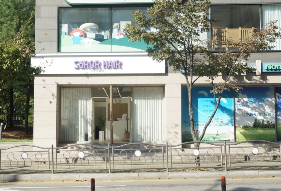 소로르헤어 이미지