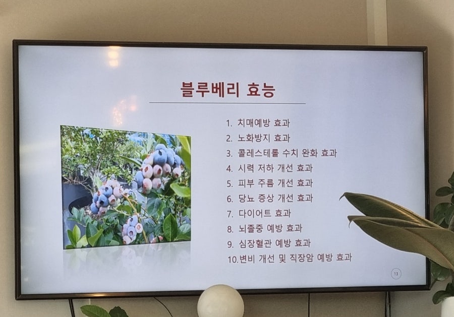 왕피천블루베리농원;까페 이미지