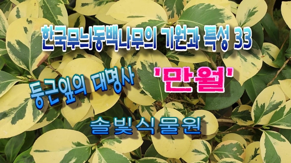 한국EDJ 이미지