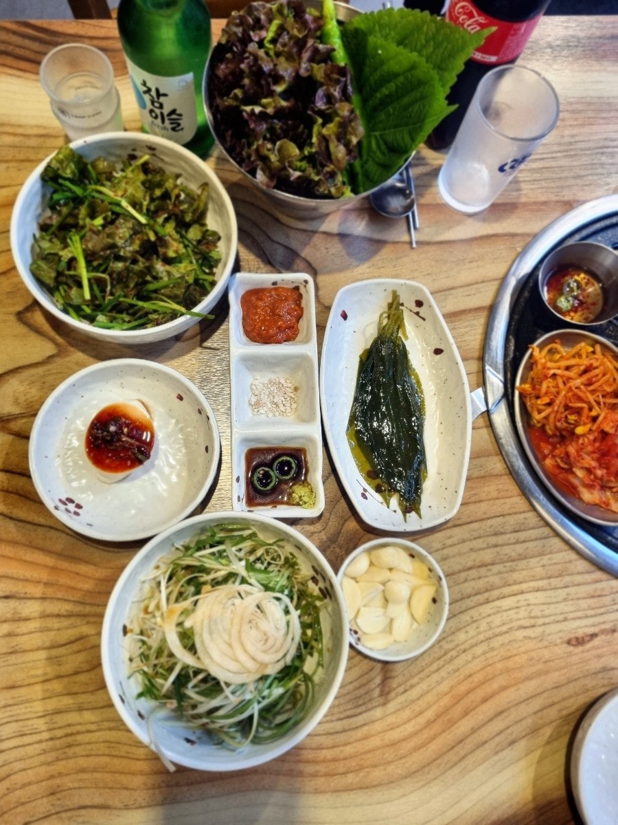 꽃돼지갈매기 이미지