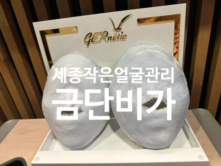 금단비가 세종점 이미지