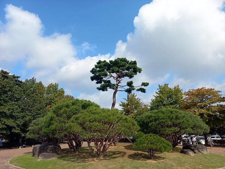 정오농수산 이미지