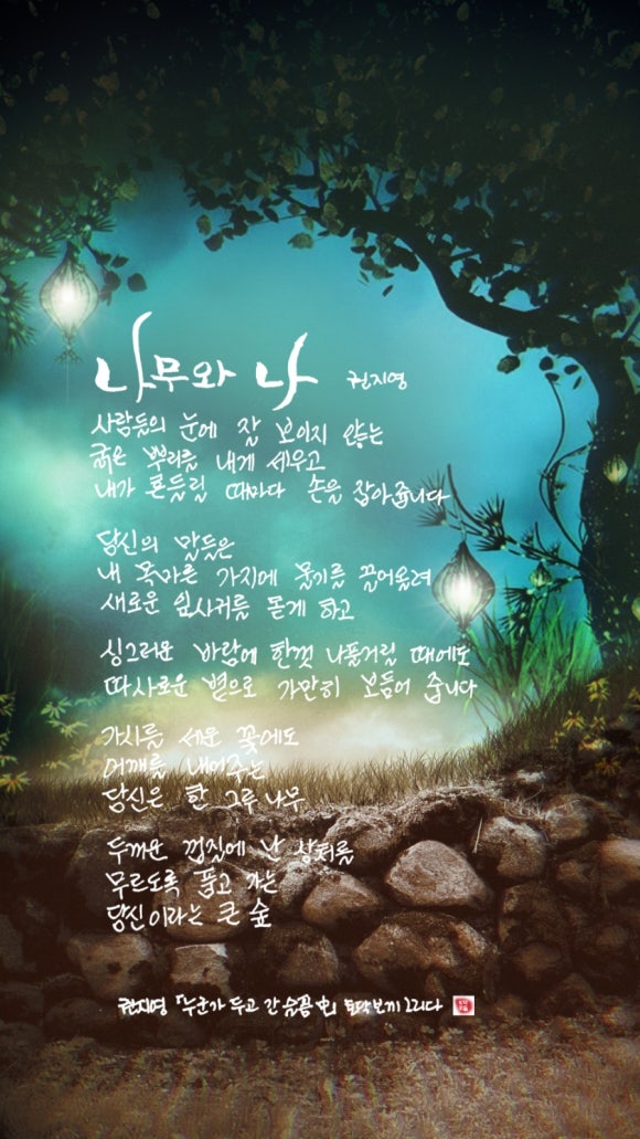 나무와나 이미지