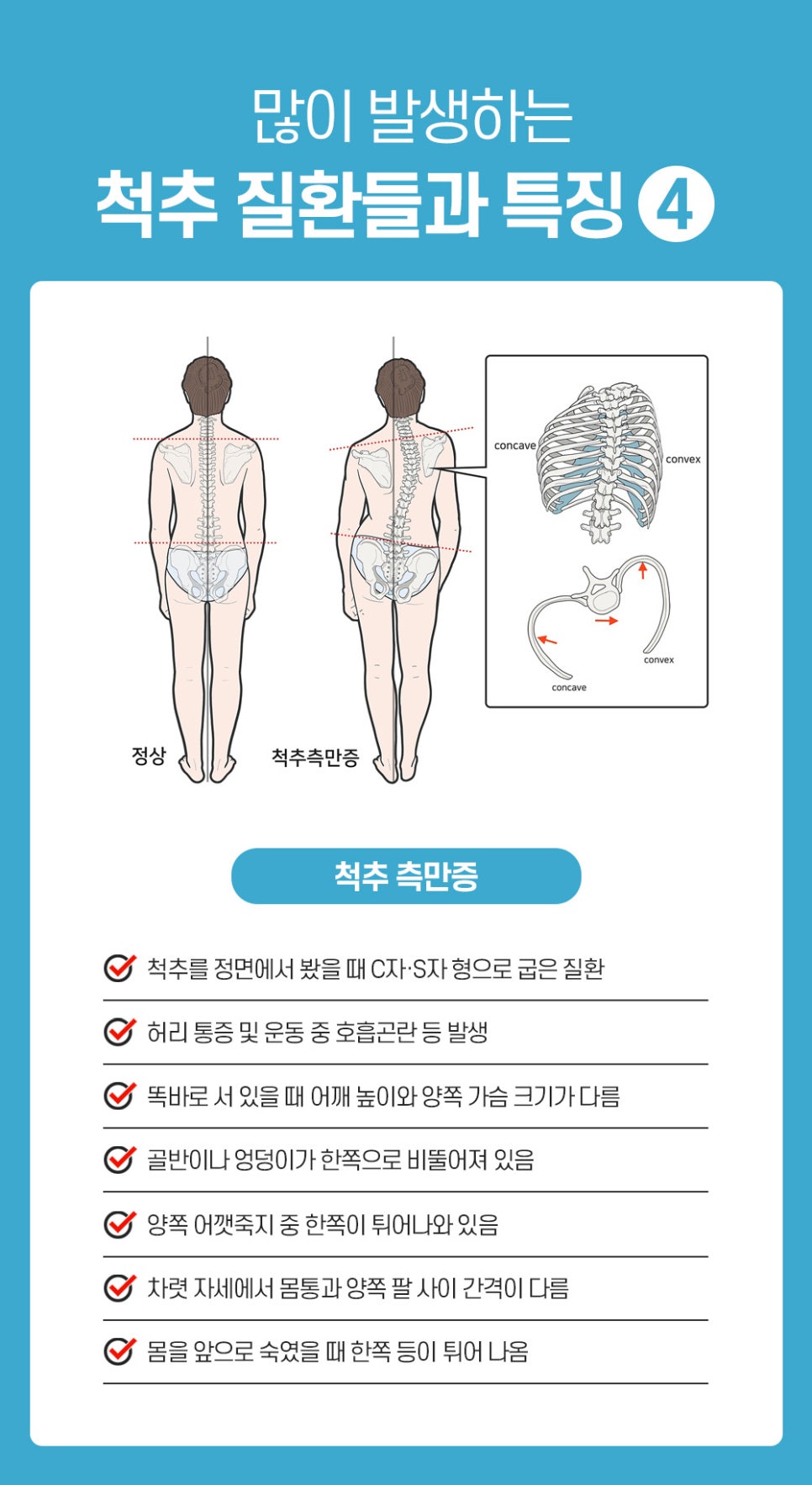 바른체형척추관리 이미지