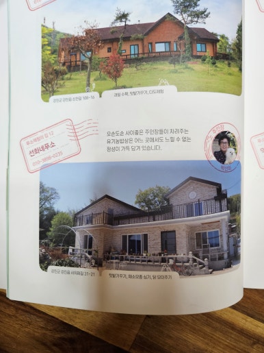 선화네푸소 이미지