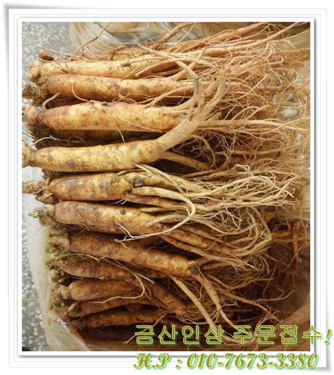금산인삼직판장 이미지
