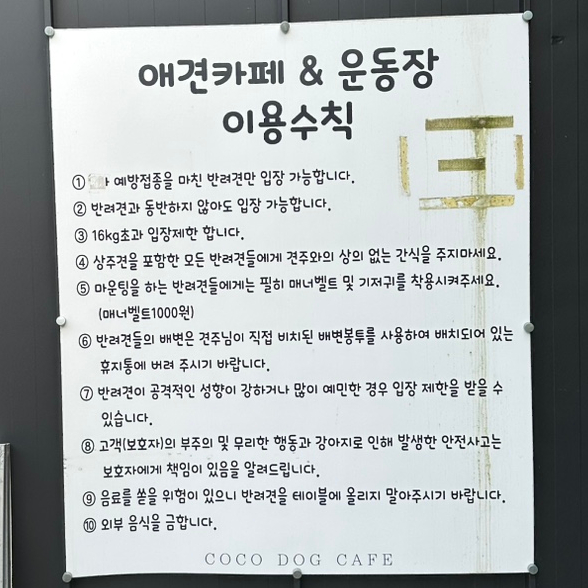 코코독스 이미지