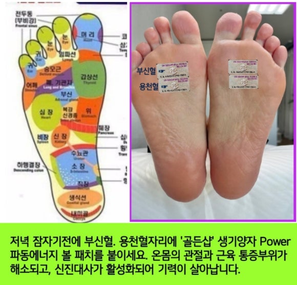 골든샵 이미지