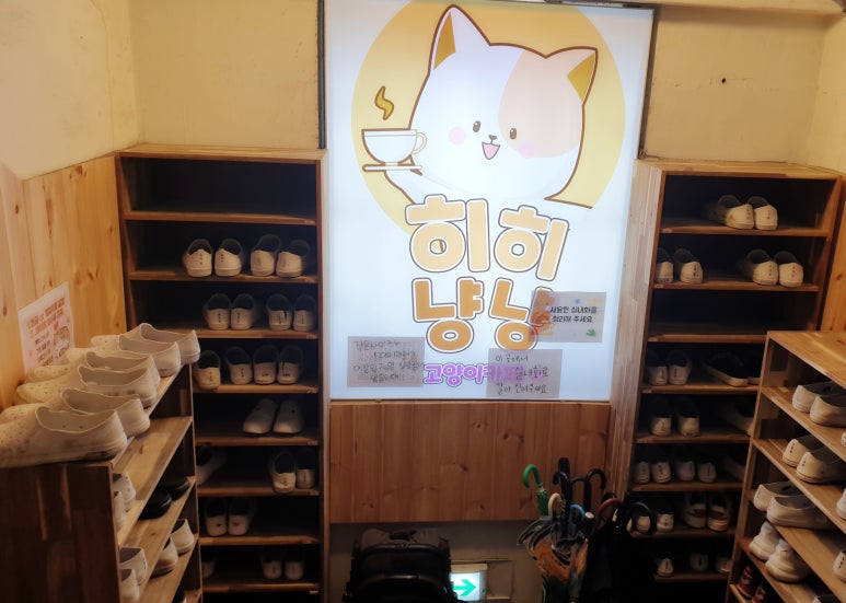 댕댕냥냥부천점 이미지