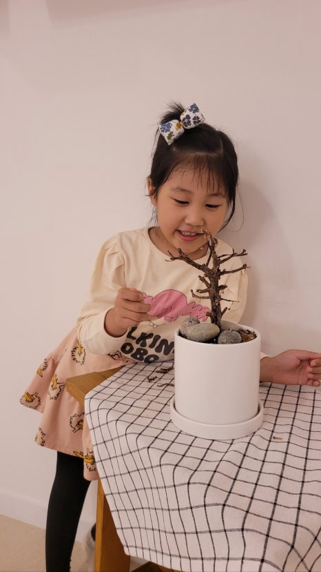 피예프음악학원 이미지