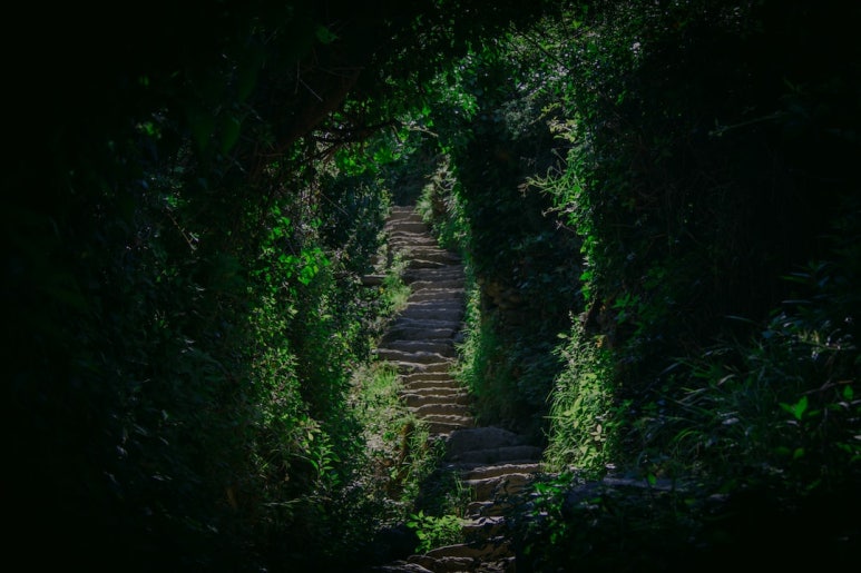 동산식품 이미지