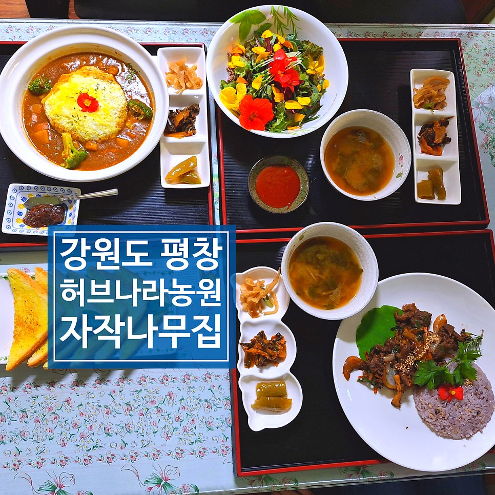 허브나라 자작나무집 이미지