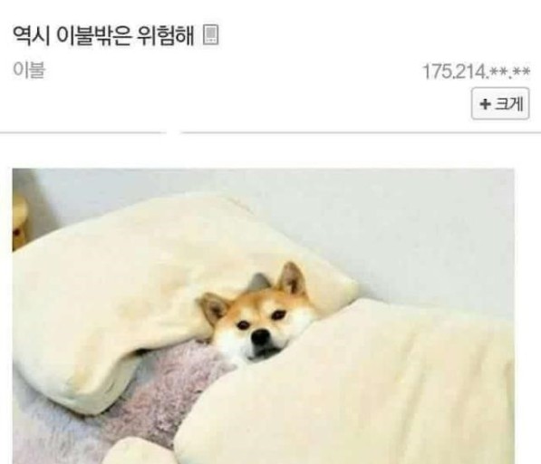 그린앤블루 이미지