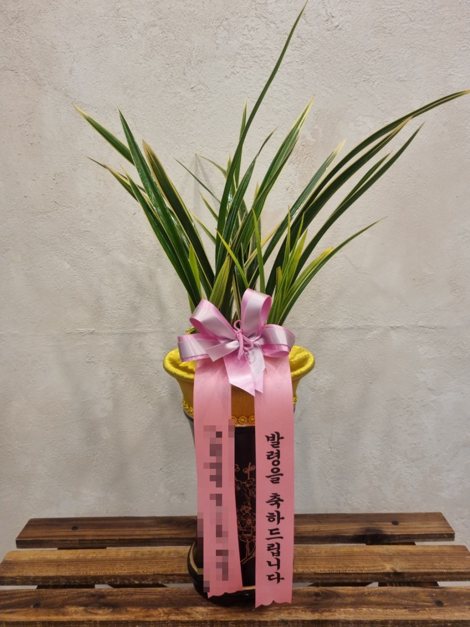 채원의숲 이미지