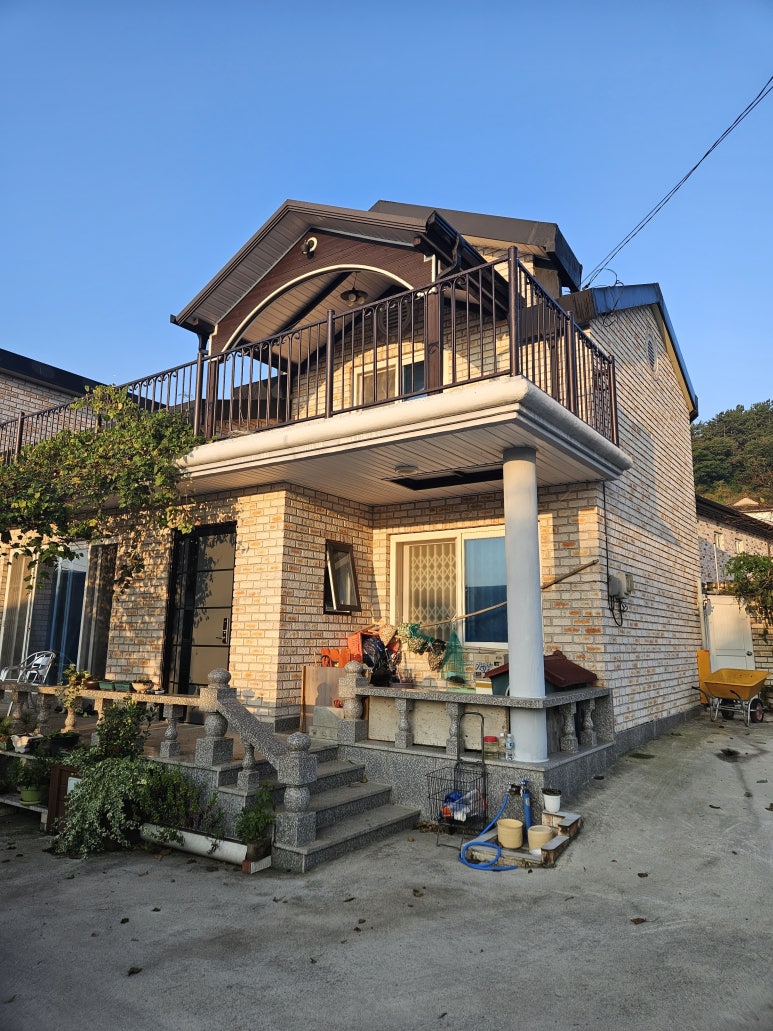 선화네푸소 이미지