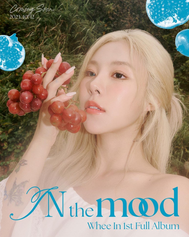 더무드(The Mood) 이미지