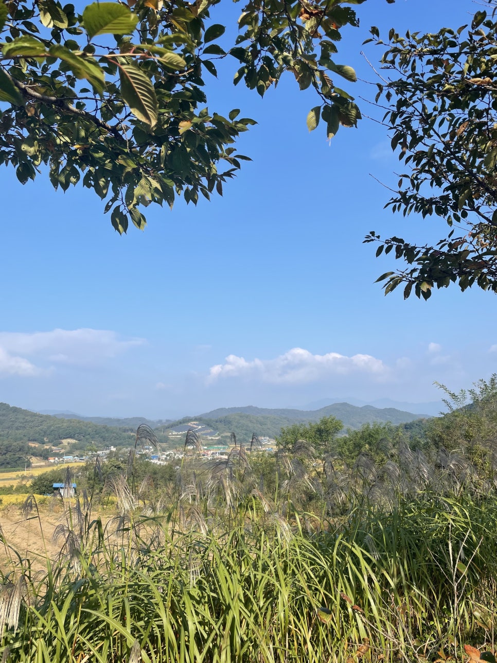 왕산골식당 이미지