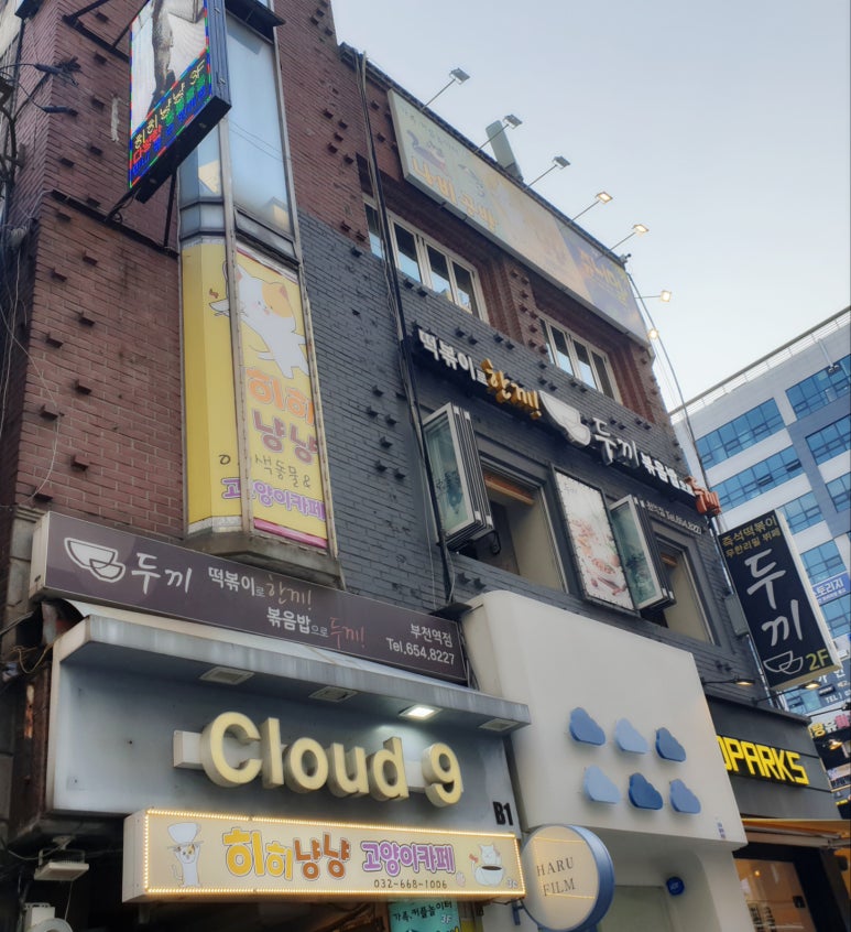 댕댕냥냥부천점 이미지